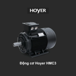 Động cơ Hoyer HMC3