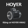 Động cơ HOYER HMA2