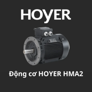 Động cơ HOYER HMA2