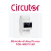 Ro-le-bao-ve-dong-Circutor-RGU-100B-P11961