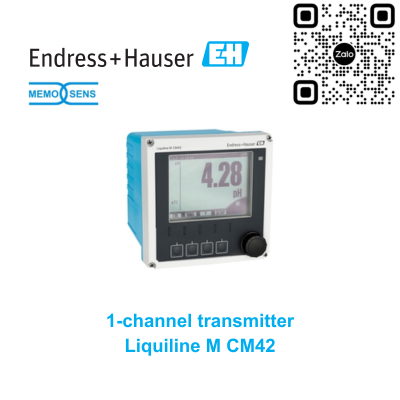 Bộ chuyển đổi tín hiệu Endress Hauser CM42-LCA100EAE00