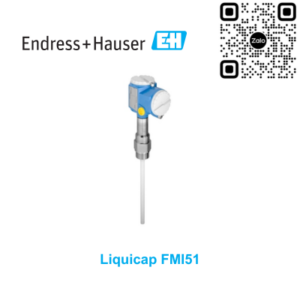 Cảm biến báo mức Endress Hauser FMI51