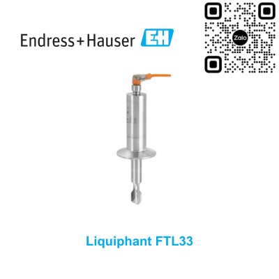 Công tắc báo mức Endress Hauser FTL31-AA4U3AAWSJ