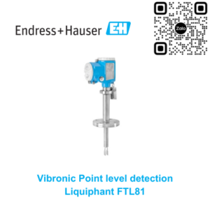 Công tắc báo mức Endress Hauser FTL81-XXSAXAA1ABJXXX