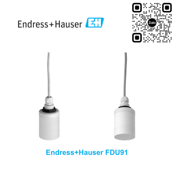 Cảm biến siêu âm Endress Hauser FDU91-AG1AA