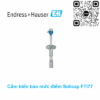 Cảm biến đo mức Endress Hauser FTI77-A2GBRAHJ43B1A