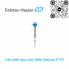 Cảm biến đo mức Endress Hauser Solicap FTI77