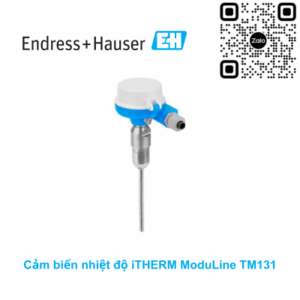 Cảm biến nhiệt độ Endress Hauser TM131-AAAAAFA2AX1AAAC0AA1AA1+NQ